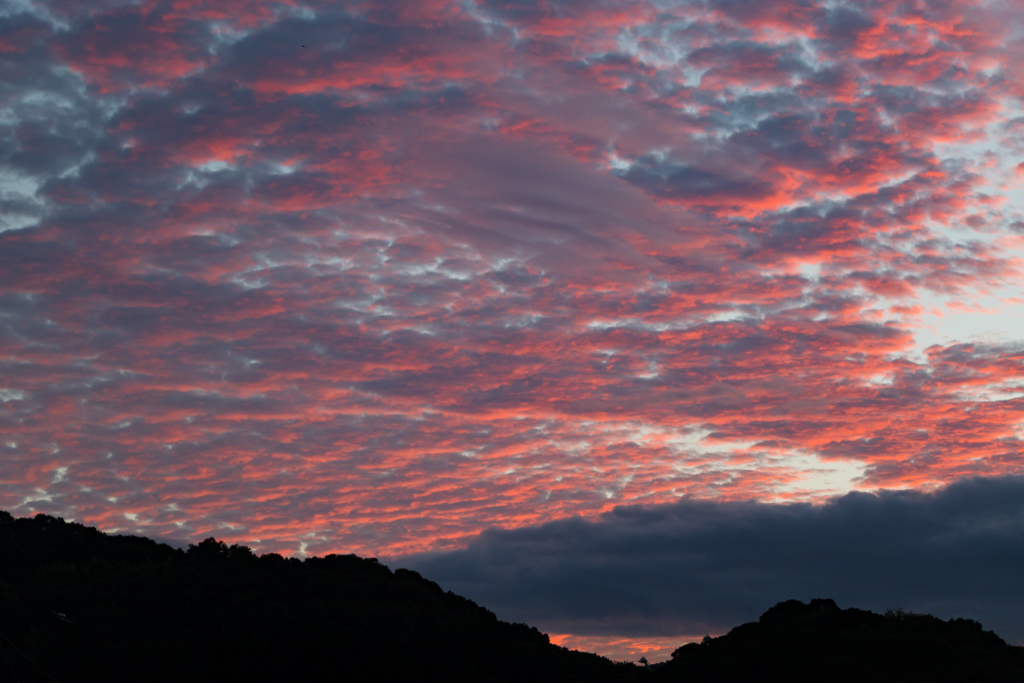 本日の夕焼け