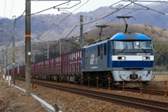 桃太郎参上