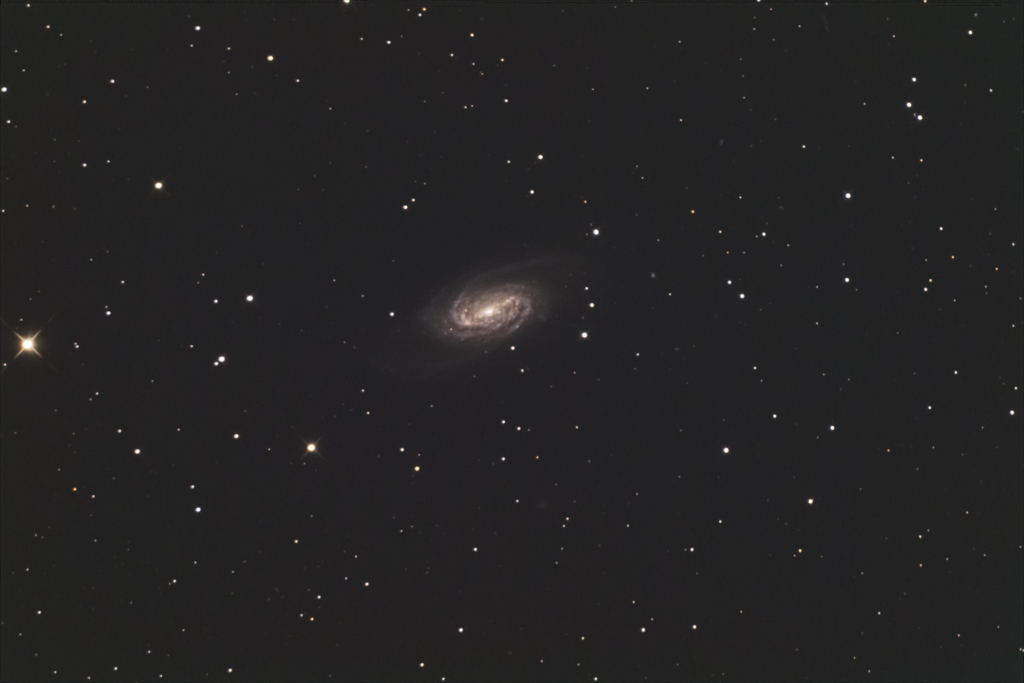 春の銀河祭り 《NGC2903》