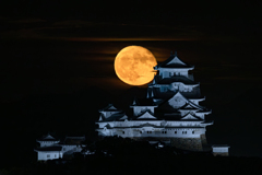 姫路城と月