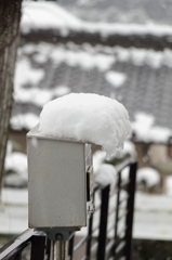 ポストがリーゼント！？