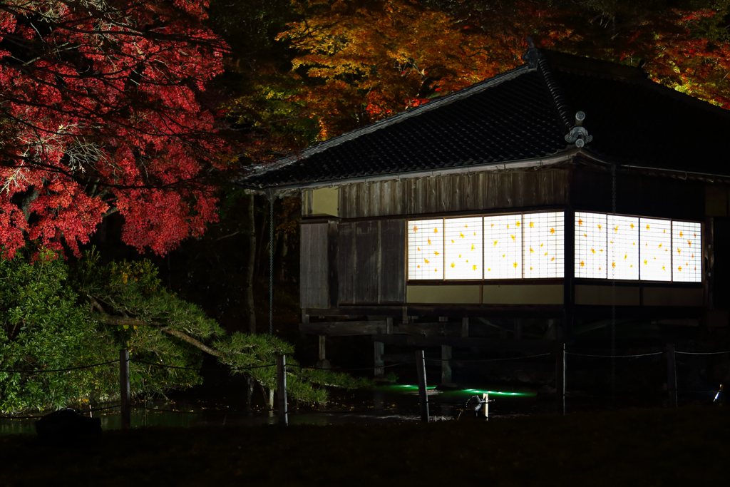 聚遠亭の夜