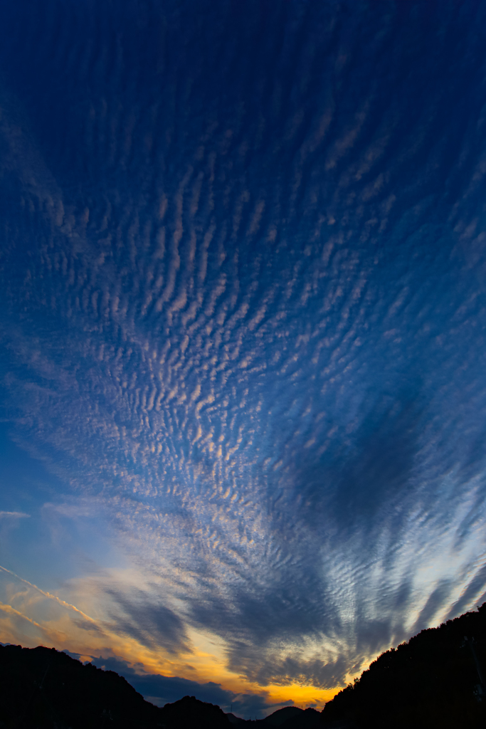 空模様