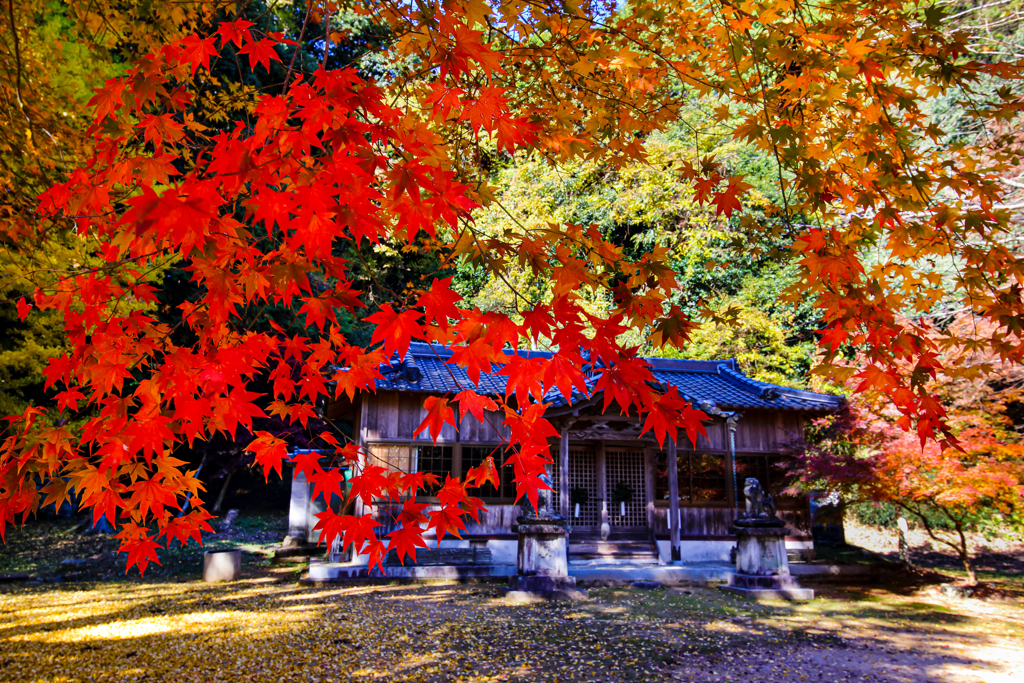 とある神社の境内にて ③