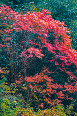 山の麓の裾模様