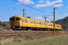 Yellow Trainが行く