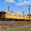 Yellow Trainが行く