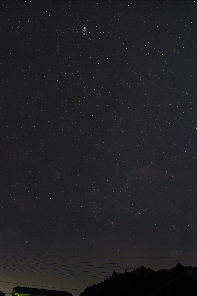 目覚めのオリオン with 昴