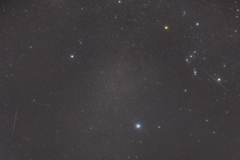 インチキふたご座流星群