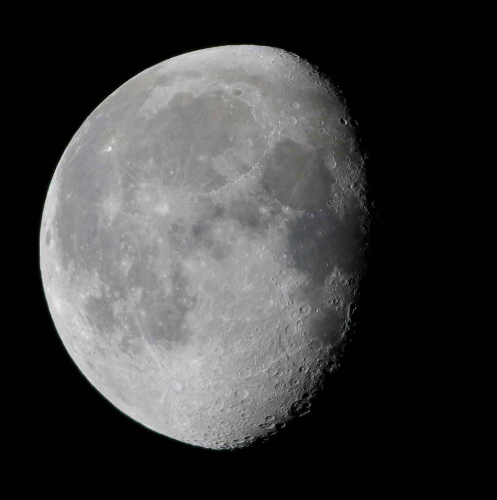 月2015.12.30  １枚撮り