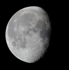 月2015.12.30  １枚撮り