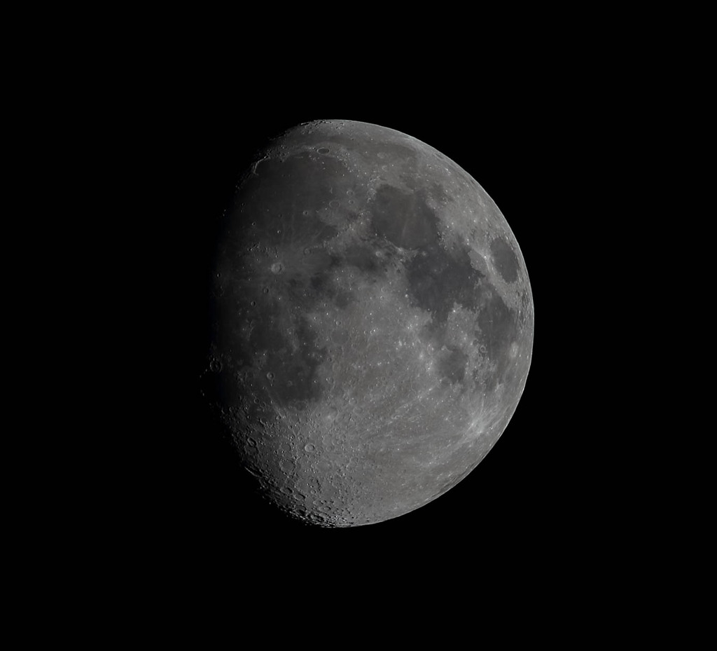 撮れる時に撮る！