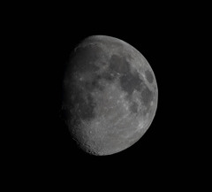 撮れる時に撮る！