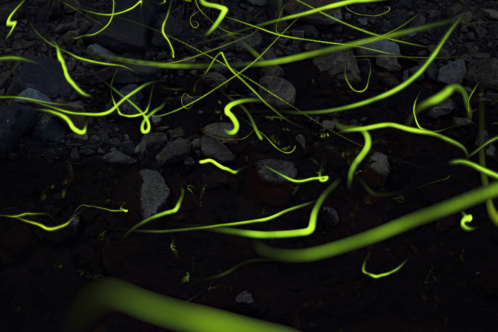 源氏物語 《令和 第７巻》