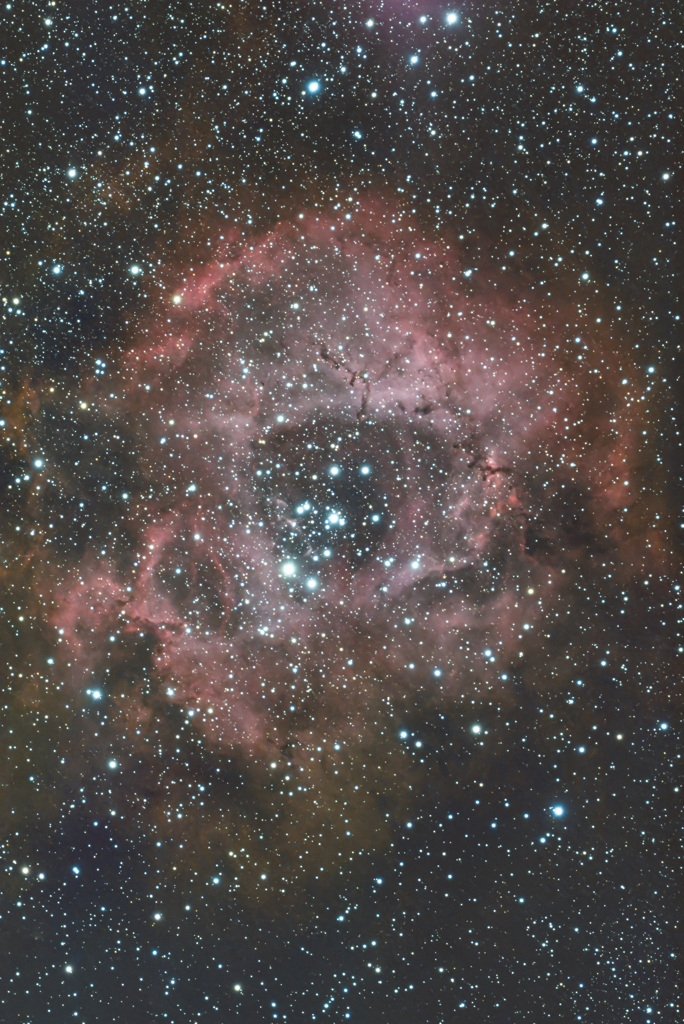 1インチセンサーで撮るバラ星雲