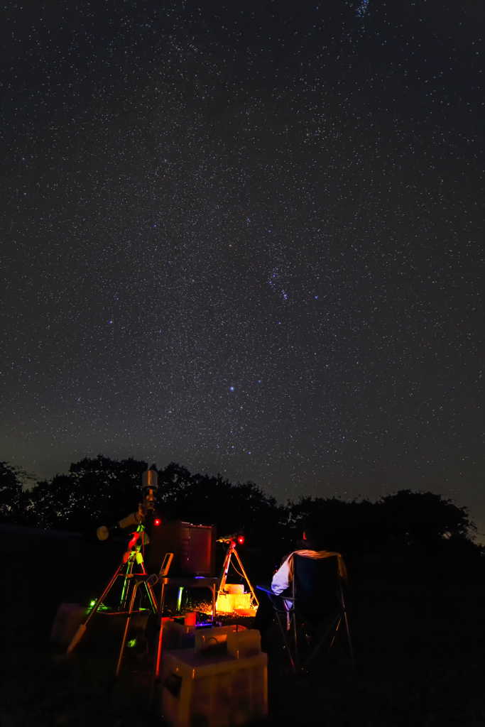 星観るカイヤン