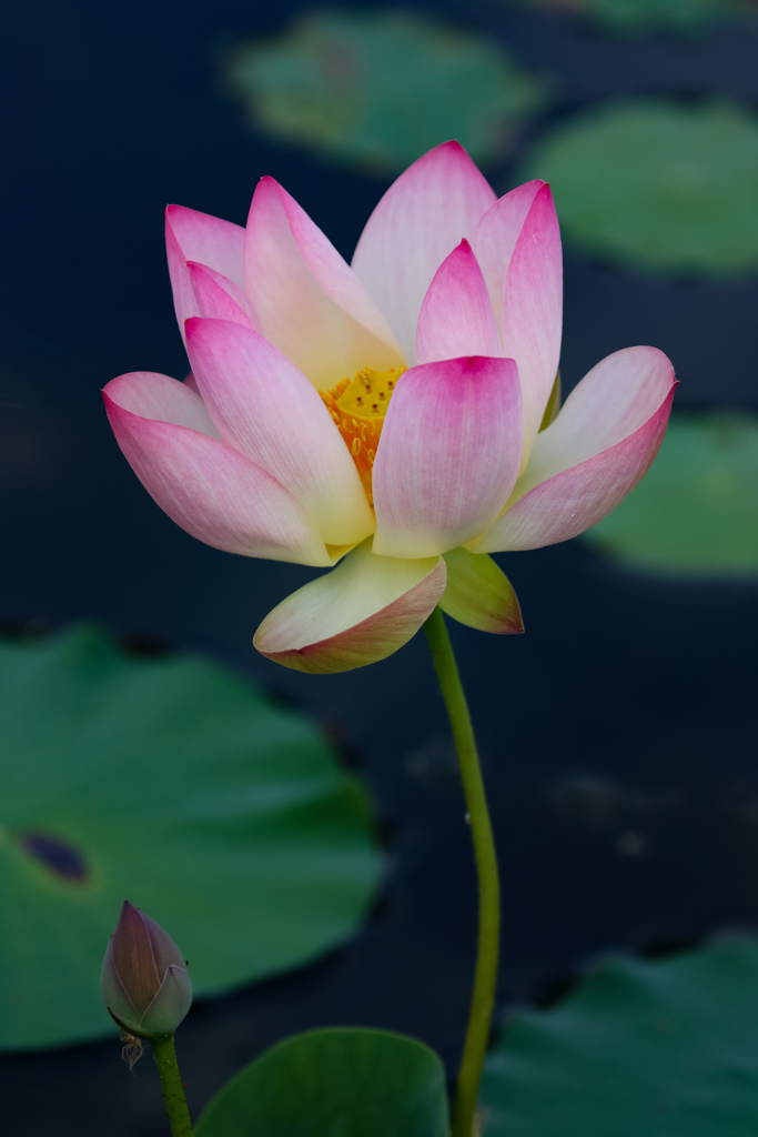 静寂