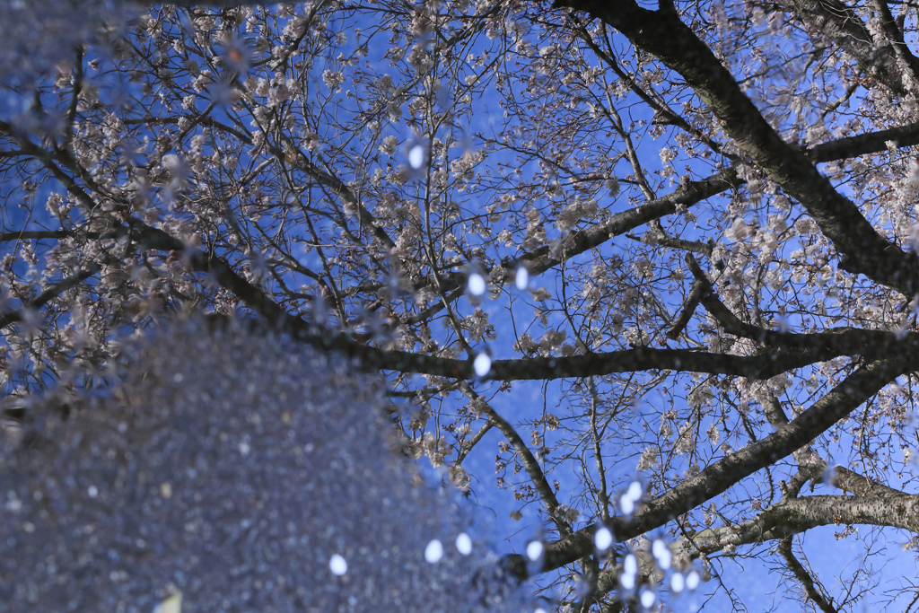 ステキな水田真理さん