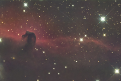 1600mmとAPS-Cで馬頭星雲