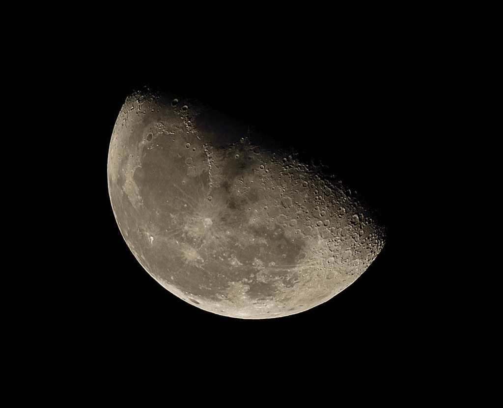 ハハハッ、また撮っちゃいました。