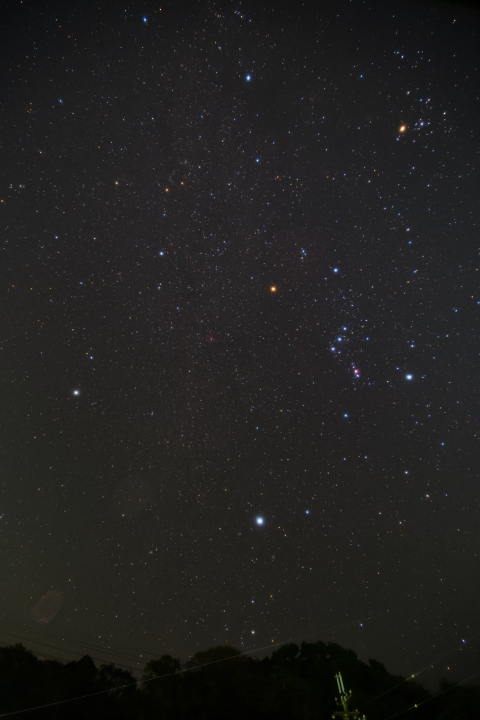賑やかな冬の夜空