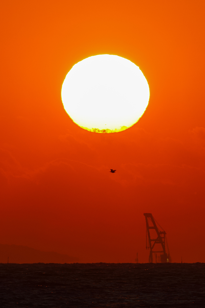 夕陽とサルベージ船