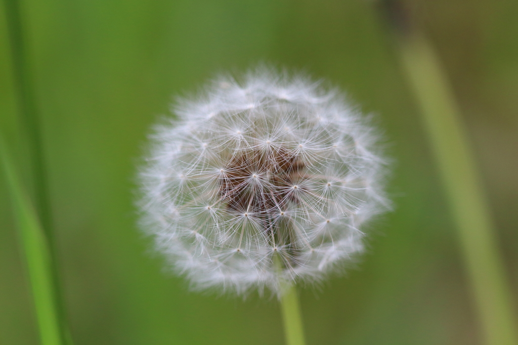 出発準備完了！