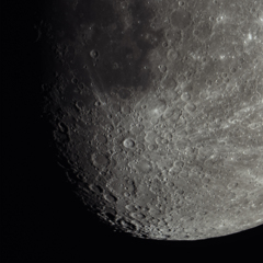 今年もお世話になりました