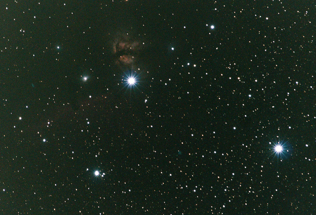 チャレンジしてみましたが…