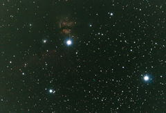 チャレンジしてみましたが…