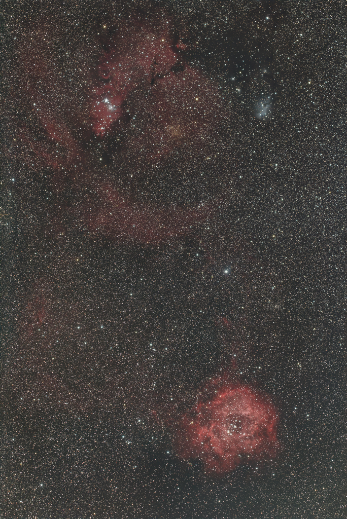 玄関からバラコーン