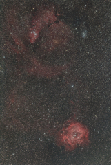 玄関からバラコーン