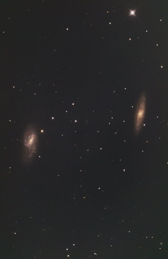 三つ子の中の２人 M65 M66