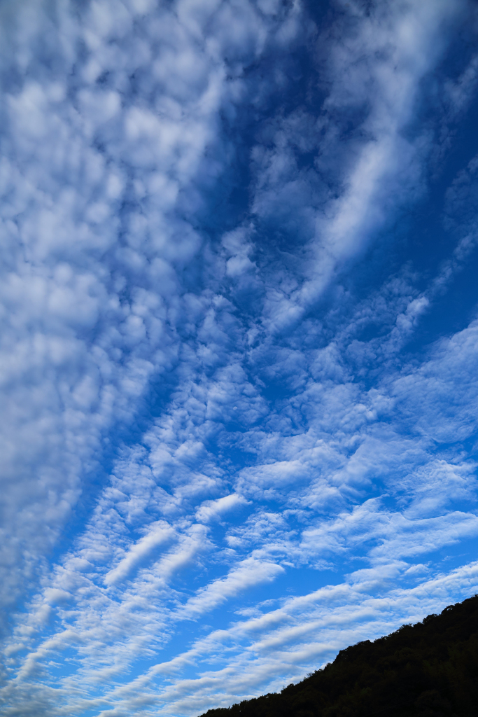 今朝の西空