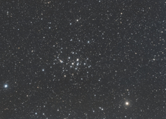 M44 プレセペ星団 2026