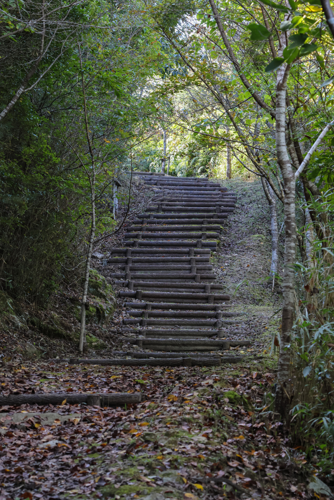 山道