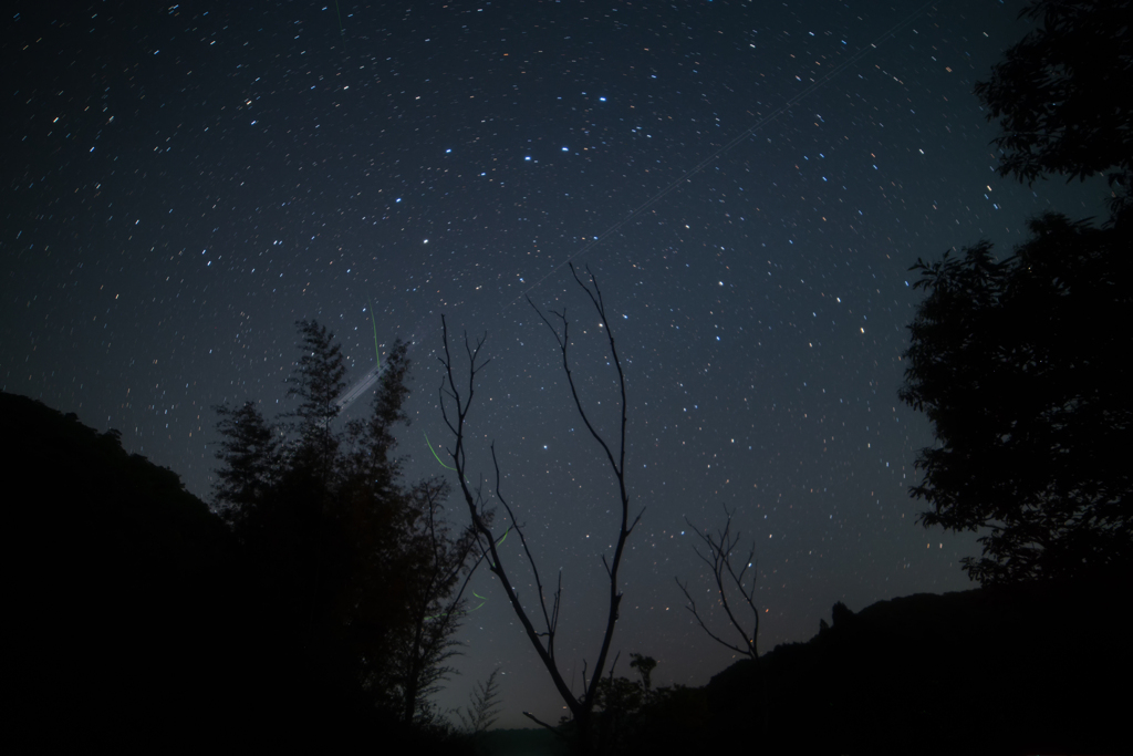 珍しいもの その１ 《スターリンク衛星①》
