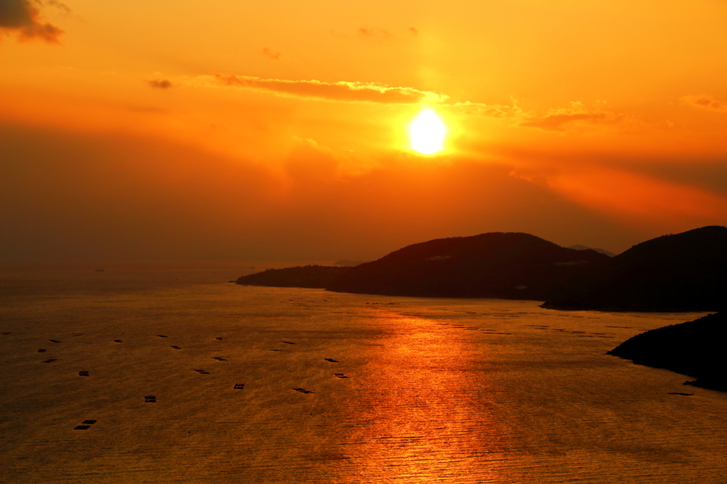 夕日B