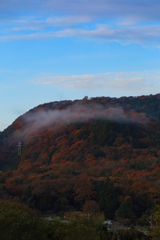 これも雲海と言うんかい？