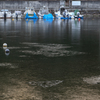 港も凍る-3℃ ②