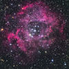 玄関先からバラ星雲