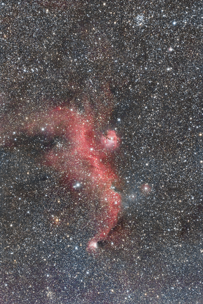 冬の天の川を渡る赤いカモメ