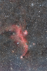 冬の天の川を渡る赤いカモメ