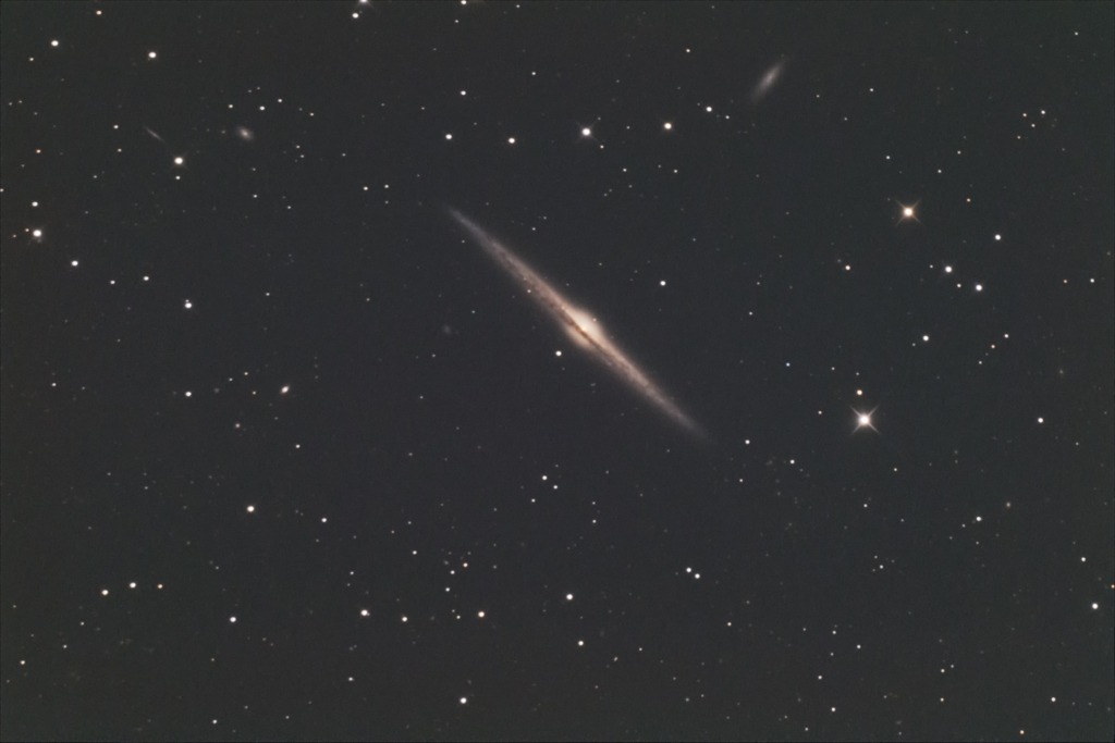 春の銀河祭り 《NGC4565》