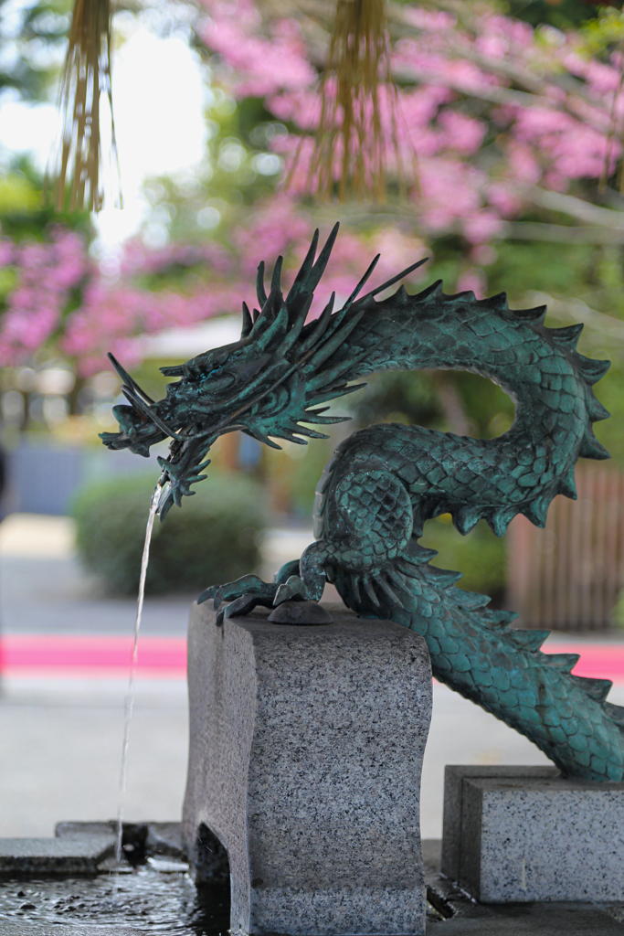 ドラゴン桜