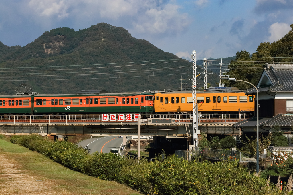 黄色い電車と思いきや…