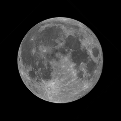 WORM MOON 2025