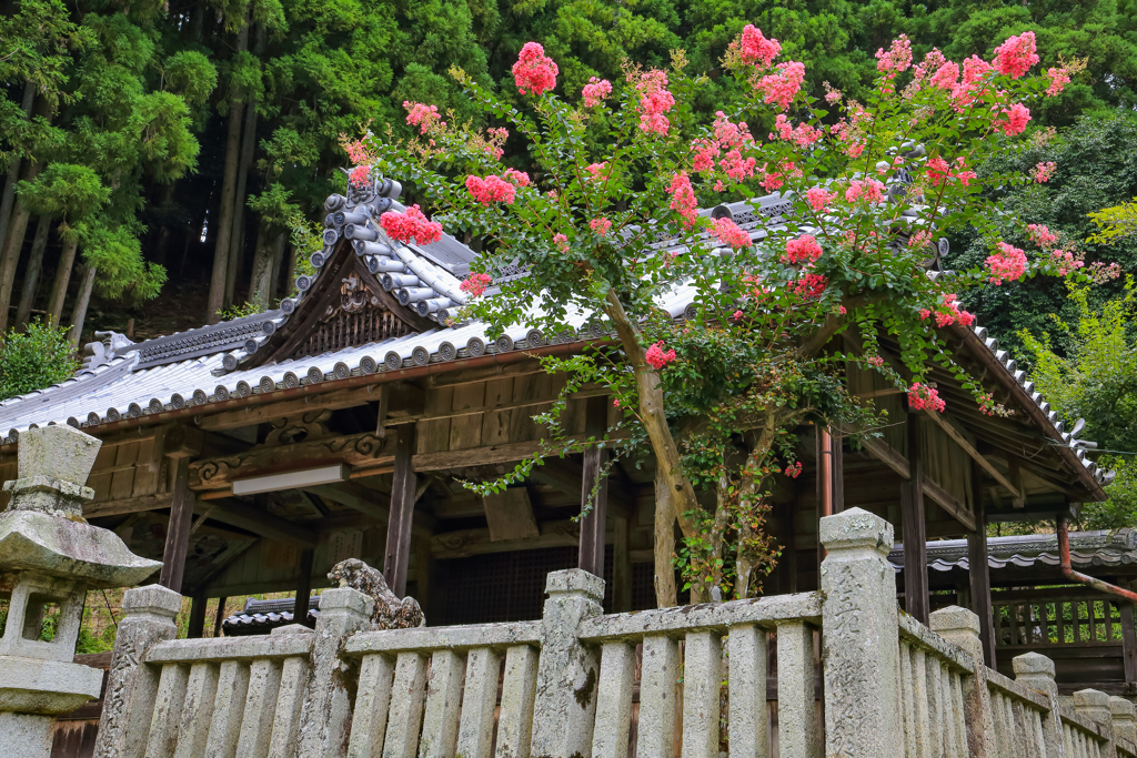 気になる神社 ②