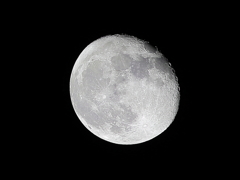 流星が撮れなかった時のための保険