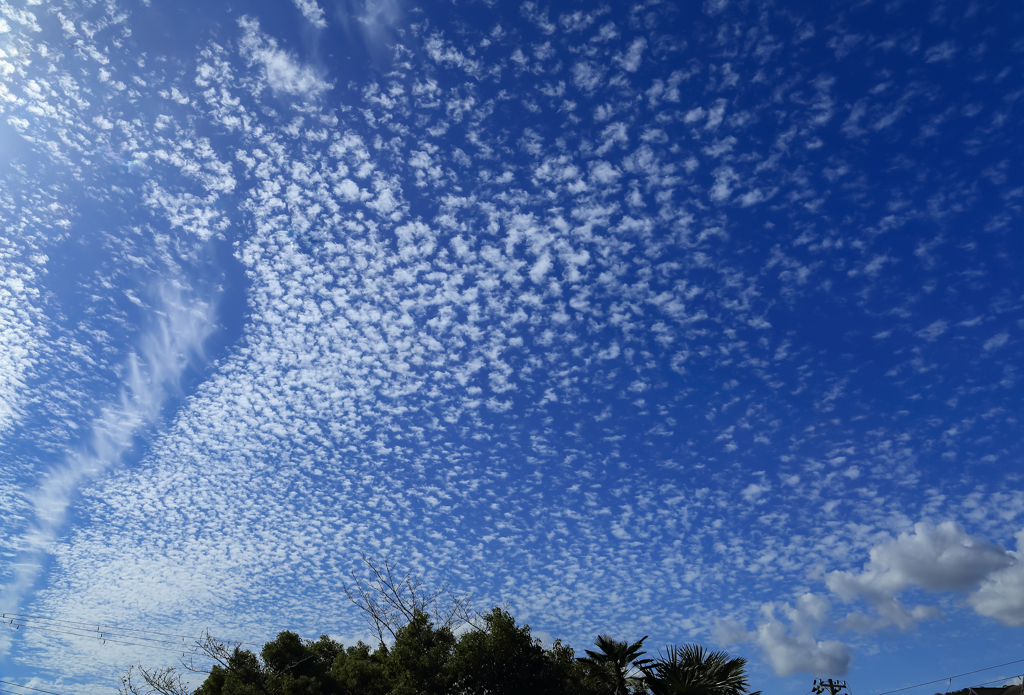 秋空